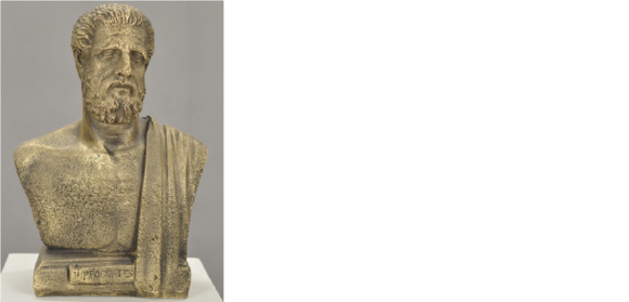 Design Hippokrates Büste Figur Statue Skulptur Skulpturen Figuren Deco