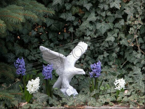 Figur Adler Garten Statue Skulptur Skulpturen Figuren Statuen Deko Neu