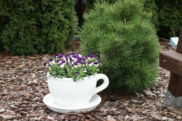 Blumenkübel Pflanz Kübel Dekoration Figur Blumentöpfe Garten Vasen