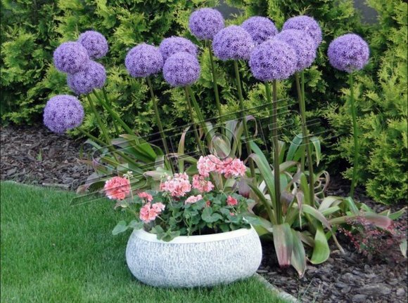 Blumenkübel Pflanz Kübel Dekoration Figur Blumentöpfe Garten Vasen