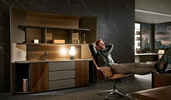 Aktenschrank Regal Schrank Büro Einrichtung Arbeitszimmer Büroschrank