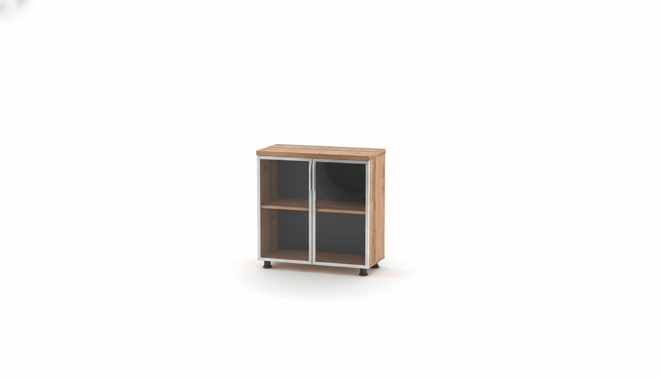Aktenschrank mit Glastüren Braun Einfarbig Einlegenboden Arbeitszimmer