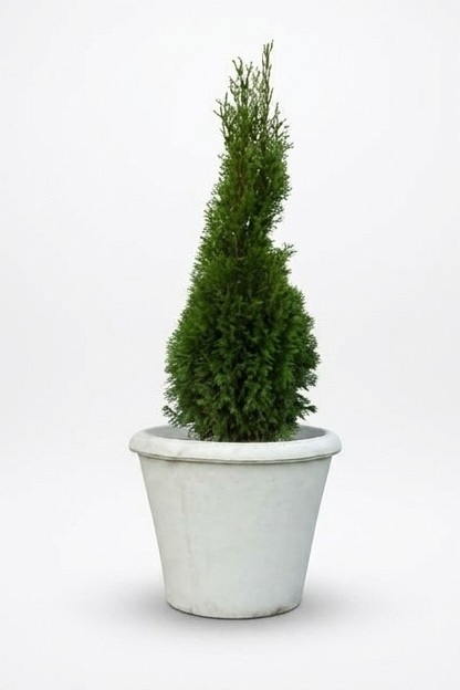 Blumenkübel Pflanz Kübel Dekoration Figur Blumentöpfe Garten Vasen