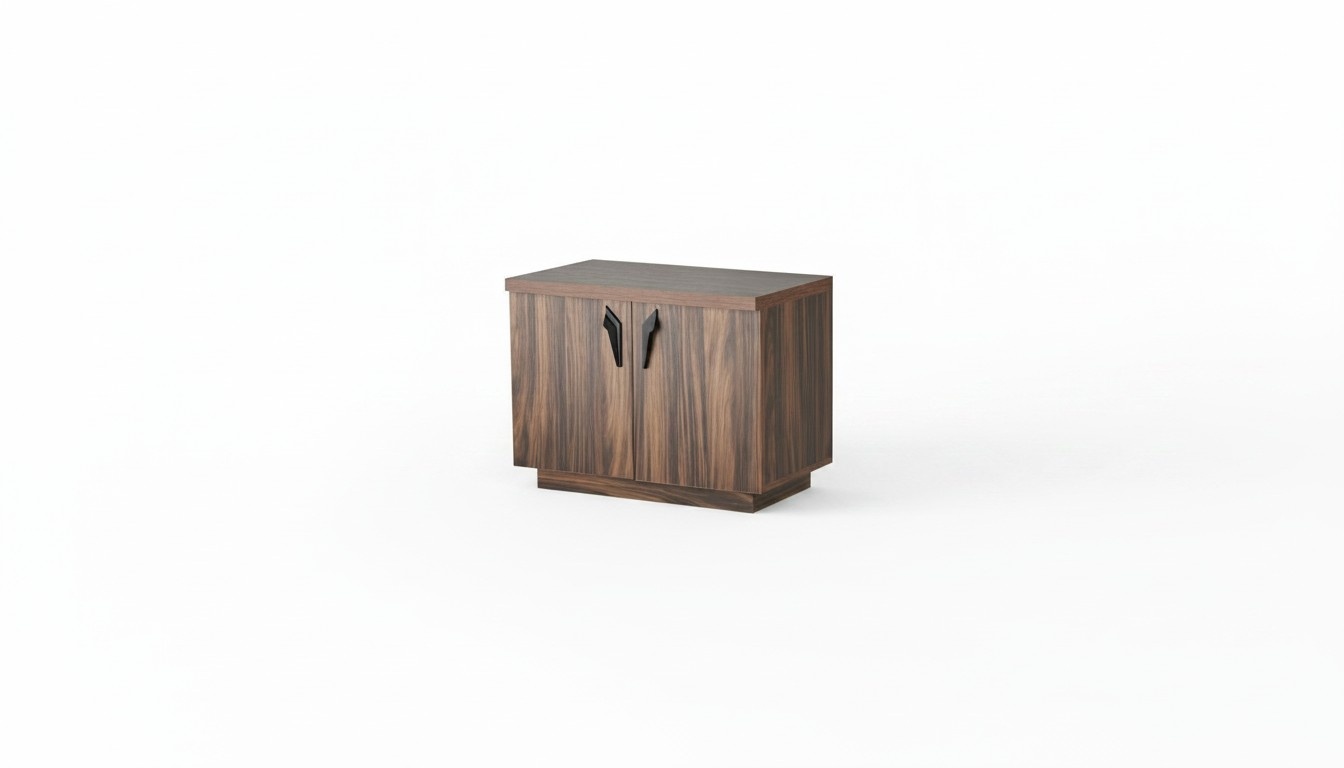Kommode Braun Zweitürig Büro Arbeitszimmer Modern Rechteckig Sideboard