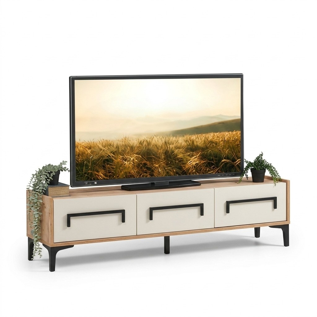 Ständer RTV TV-Möbel Fernsehschrank TV-Lowboard Board Medienmöbel TV-Konsole