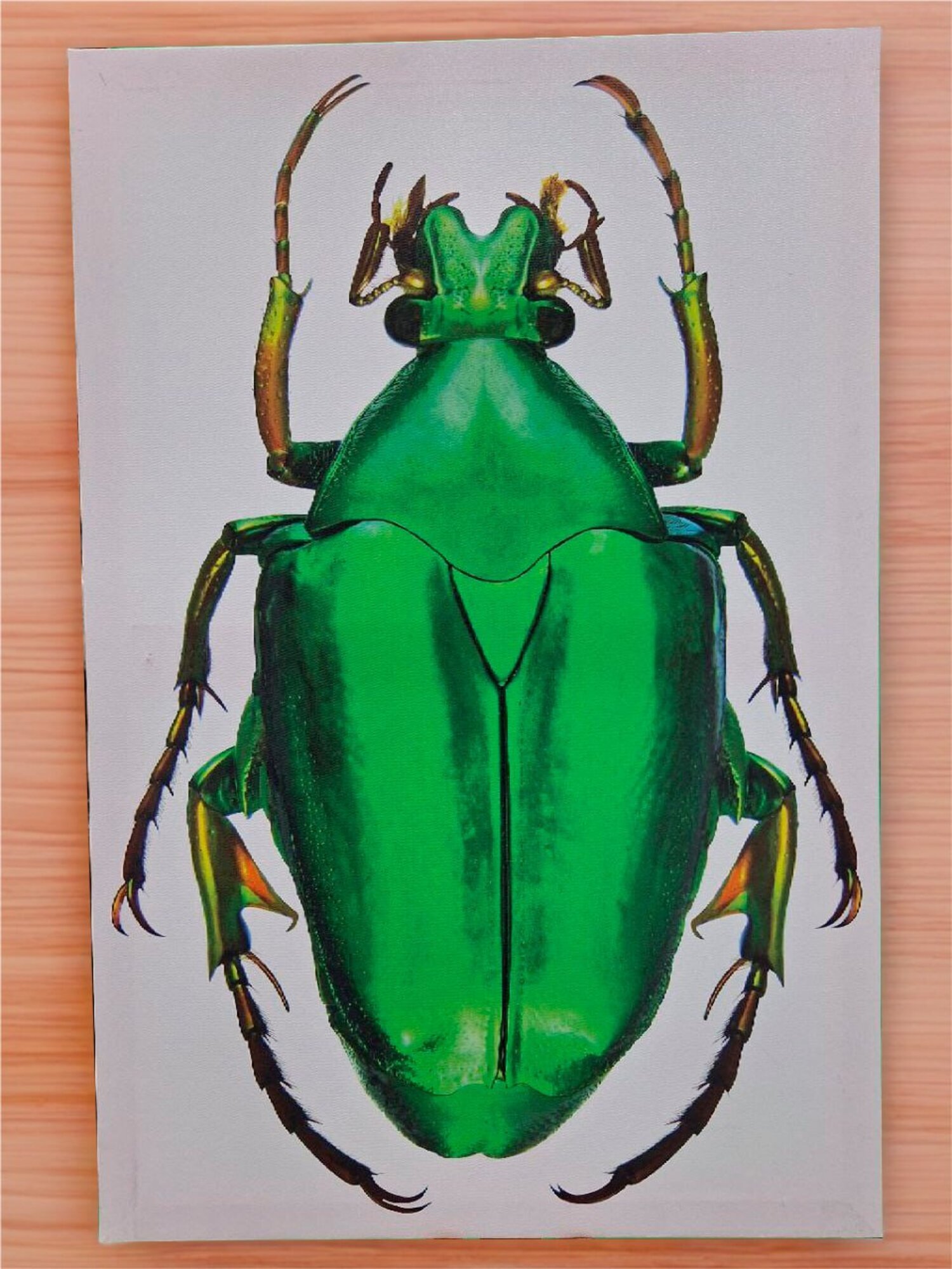 Reduzierte Ölmalerei mit präziser, geometrischer Linienführung Sofort