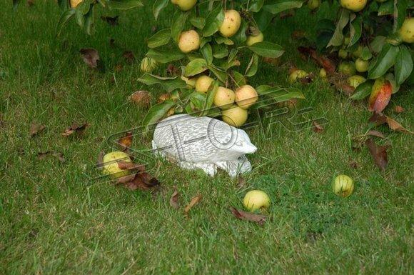 Garten Dekoration Igel Terrasse Stein Figuren Figur Deko Statue Skulptur