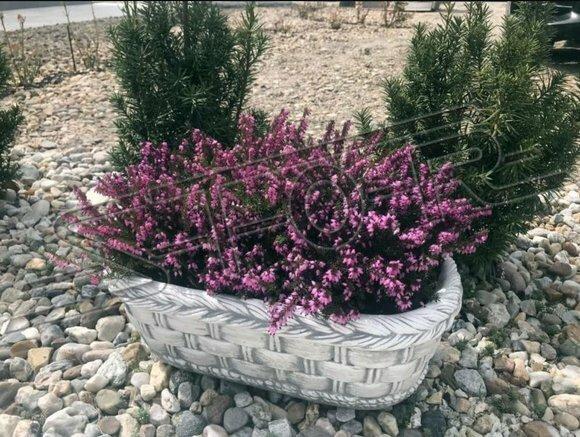 Blumenkübel Pflanz Kübel Dekoration Figur Blumentöpfe Garten Vasen
