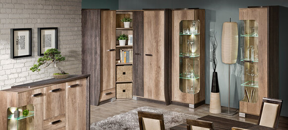 Wohnwand Anbauwand 6 teilig mit Vitrine RTV Regal Schrankwand Eiche