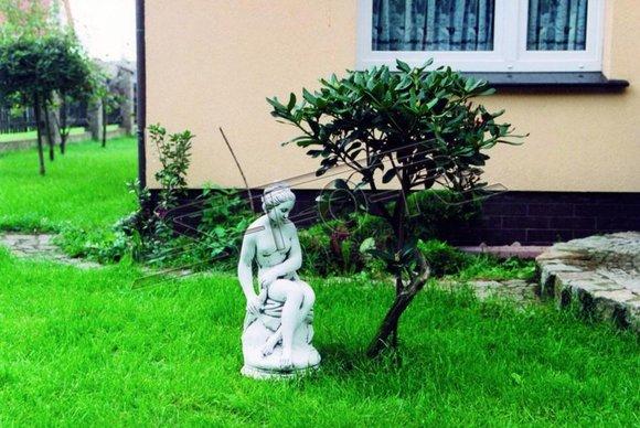 Damen Figur Statue Figuren Statuen Skulptur Skulpturen Garten 60cm