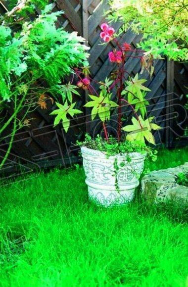 Blumenkübel Pflanz Kübel Dekoration Figur Blumentöpfe Garten Vasen