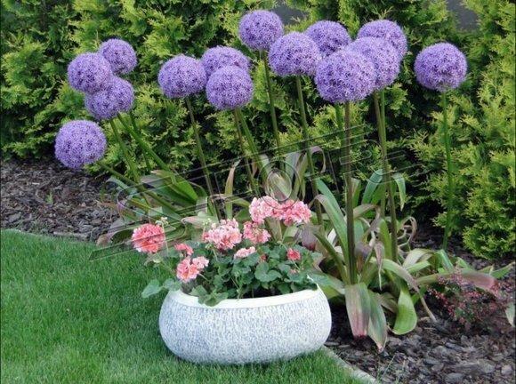 Blumenkübel Pflanz Kübel Dekoration Figur Blumentöpfe Garten Vasen