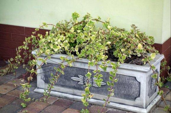 Blumenkübel Pflanz Kübel Dekoration Figur Blumentöpfe Garten Vasen