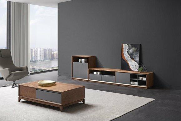 Design Wohnwand RTV Side Low Schrank Board Wohnzimmer Regal Garnitur