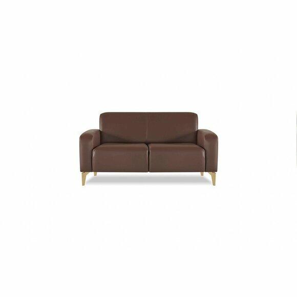 Sofa 2-Sitzer Braun Einfarbig Modern Design Arbeitszimmer Wohnzimmer