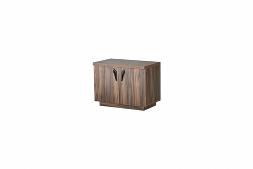 Kommode Braun Zweitürig Büro Arbeitszimmer Modern Rechteckig Sideboard
