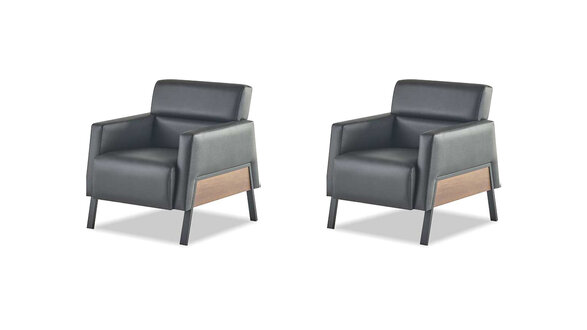 Sessel-Set Leder 1-Sitzer Schwarz Lehnsessel Leder Edelstahl Holz Weich