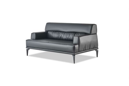 Sofa 2-Sitzer Schwarz Modern Ledersofa Edelstahl Couch Sitzmöbel Leder