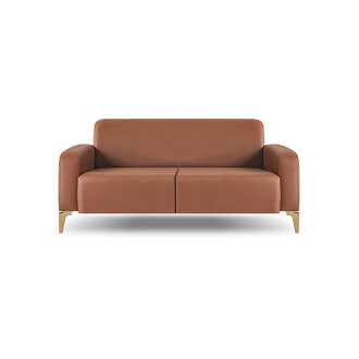 Sofa 2-Sitzer Braun Couch Zweisitzig Ledersofa Edelstahl Holz Modern