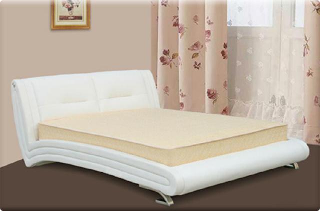 Wasserbett Bett Lederbett Polsterbett mit Matratze Neu JANA Betten Komplett