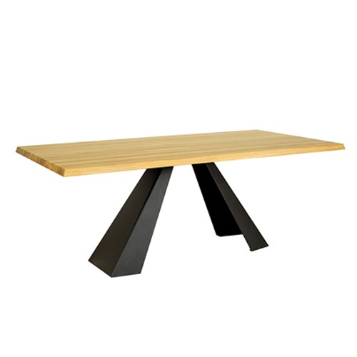 Esstisch Besprechungs Tische 220*100 cm Holz Konferenztisch Neu Vollholz Möbel