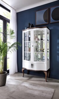 Klassische Vitrine Schrank Wohnzimmer Vitrinenschrank Vitrinen Regal Schränke