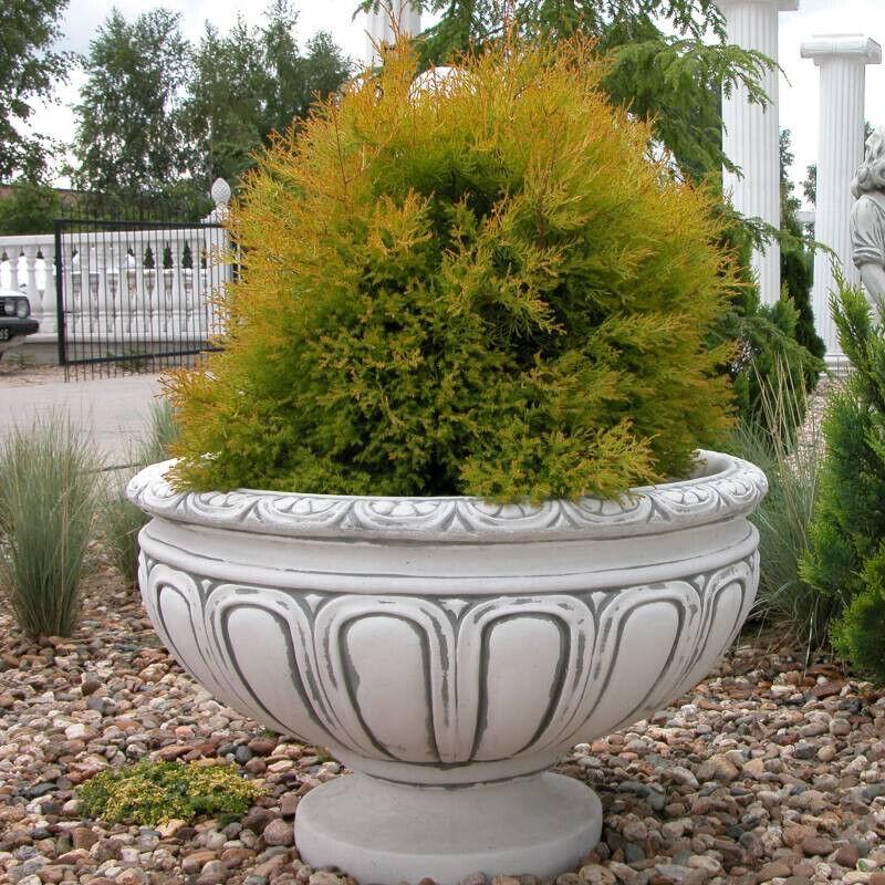 Stein Blumentopf Römischer Topf Pflanzgefäß Blumenkasten Kübel Blumentopf Sofort