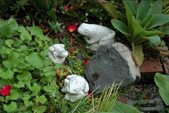 Garten Dekoration Frosch Terrasse Stein Figuren Figur Deko Statue Skulptur