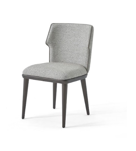 Grau Stuhl Esszimmerstuhl Polsterstuhl Relaxstuhl Holzstuhl Designerstuhl