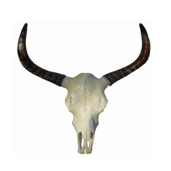 Rind Geweih Kopf Wand Deko Dekoration 78cm Wand Design Kopf Skulptur