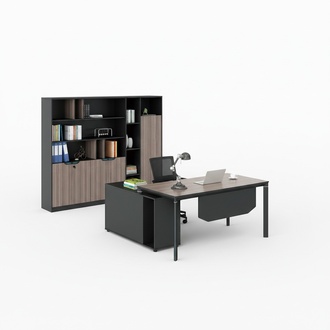 Aktenschrank Bücherregal Regale Schrank Luxus Büro Möbel Schränke