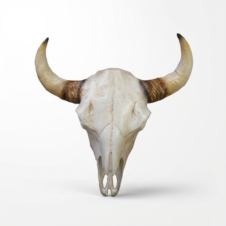 Bullenschädel Stierkopf Wand Skulpturen Höhe 64 cm Deko Figur Skelett