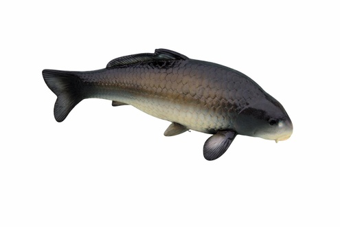 Design Fisch Figur Statue Skulptur Figuren Skulpturen Dekoration Deko