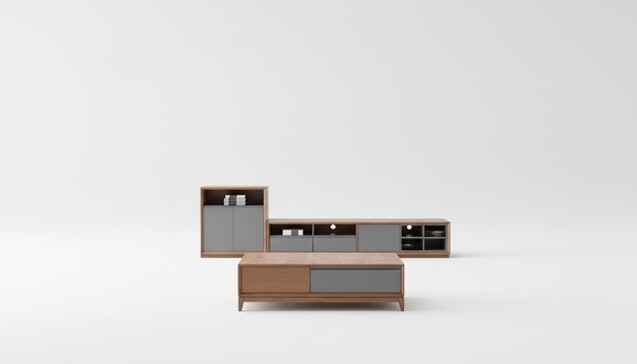 Design Wohnwand RTV Side Low Schrank Board Wohnzimmer Regal Garnitur