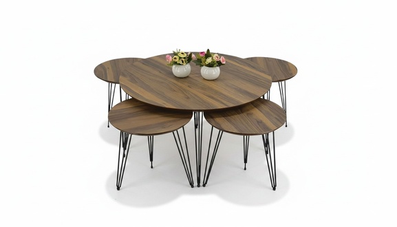 Eleganter brauner Holztisch mit stilvollem Design für Wohnzimmer