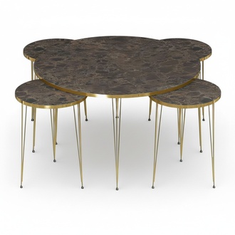 Eleganter Holz-Couchtisch mit 4 Beistelltischen in Braun