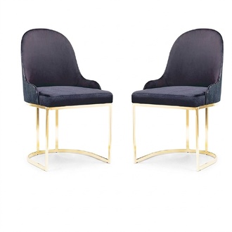 Ess Zimmer Möbel Set 2x Stuhl Luxus Neu Blau Elegant Modern Stuhl Holz