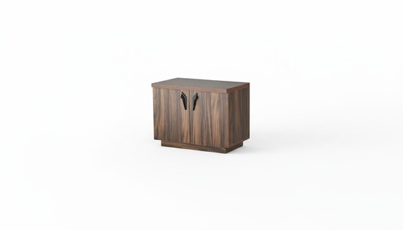 Kommode Braun Zweitürig Büro Arbeitszimmer Modern Rechteckig Sideboard