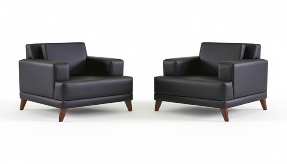 Lehnsessel Leder Sessel Schwarz Modern Polster Kissen 1-Sitzer Holz