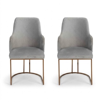 Modern Esszimmerstuhl Küchenstühle Luxus Design 2x Stühle Lehnstühle Grau Neu
