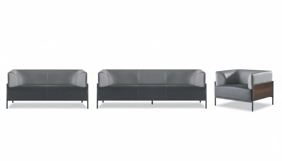 Multifunktional Sofa-Set Ledersofa Modern Holz Pflegelicht Einfarbig