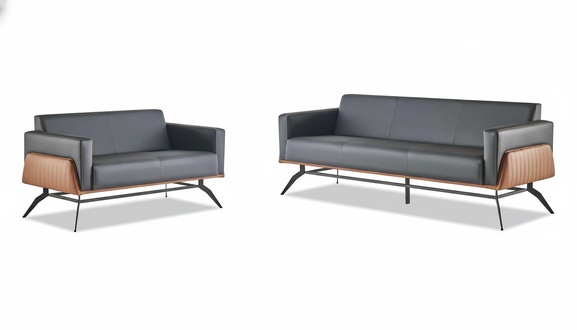 Sofa-Set Schwarz Braun Ledersofas Sitzmöbel 3-Sitzer 2-Sitzer Couches