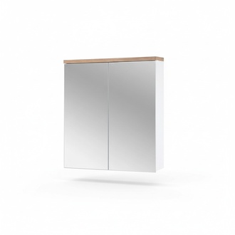Spiegelschrank Badezimmerschrank Badspiegel 60x20x70 cm Schränke