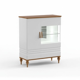 Vitrine Glasvitrine Schrankvitrine Vitrinenschrank Sammlungsvitrine Regalvitrine