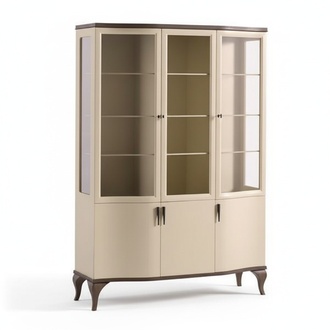 Vitrine Schrankvitrine Regalvitrine Objektschrank Vitrinenschrank Glasschrank