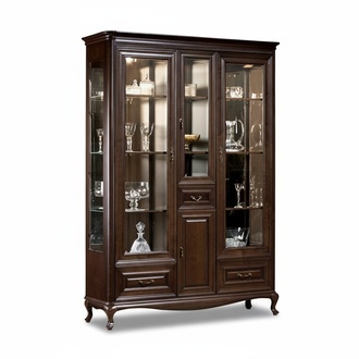 Vitrinenschrank Vitrine Schaukasten Glasschrank Schrankvitrine Regalvitrine