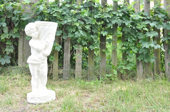 Artikel Bild