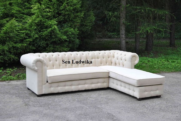 Artikel Bild