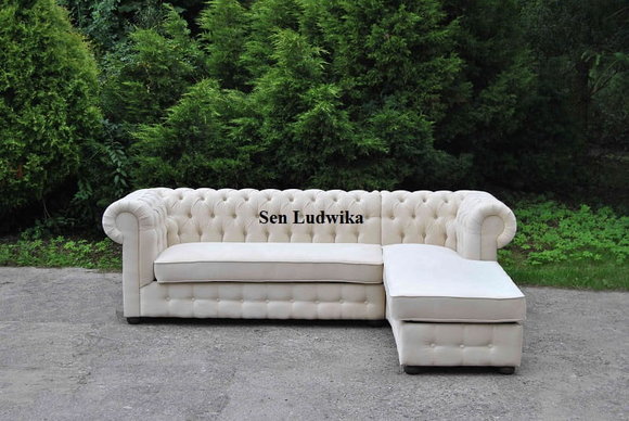 Artikel Bild