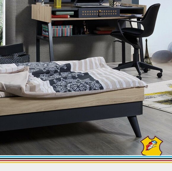 Artikel Bild